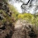 A safer path in Jardin Botanico.