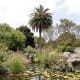 Jardin Botanico Canario.