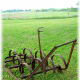Yard "art" at Windy Winery