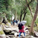 On the trail to the falls