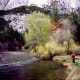 Fly fishing in Yosemite