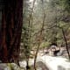 A bridge over the Merced River