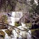 Scenery in Yosemite