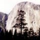 The 3,000 foot high tallest unbroken granite cliff in the world called El Capitan is here in Yosemite.