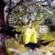 Rain gear needed as one gets close to the falls