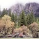 On the valley floor of Yosemite