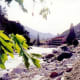 View of Yosemite View Lodge on Merced River