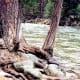 Views of the river