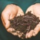 A handful of worms: Photo by Sippakorn Yamkasikorn from Pexels