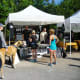 fabulous-memorial-villages-farmers-market-houston