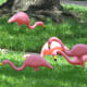 pink-flamingos-and-kitsch-art