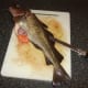 Starting to remove the second codling fillet