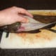 Starting to slice off the first fillet