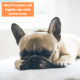 With nothing better to do, your Frenchie might choose to take a nap.