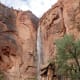 Snowmelt forms an ephemeral waterfall at the Temple of Sinawava.