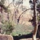 Lower Emerald Pool in Zion