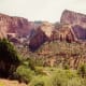 View along the Taylor Creek Trail in Kolob Canyons