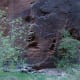 Sedimentary rock comprise of most of Zion National Park's rock formations.