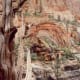 Canyon Overlook Trail in Zion