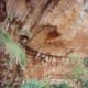 Weeping Rock trail