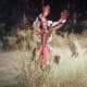 Gets a little shaky with the lion here and there, but still mostly fine.