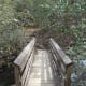 Frank Coggins Trail at Caesar's Head Mountain State Park