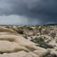 Joshua Tree National Park with approaching thunderstorm front