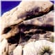 Some perspective as to the Jumbo Rocks size