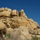 bearing-a-biblical-reference---joshua-tree-national-park