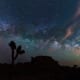 Milky Way Galaxy of Joshua Tree