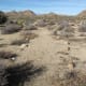 Trail marked with stones in Joshua Tree National Park.