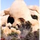 Skull Rock is appropriately named!