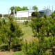 Christmas trees as well as wine produced on this property