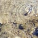 Pupfish in Death Valley