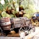 All types of old wagons and means of transportation on the museum grounds