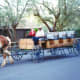 Viewed at Furnace Creek Ranch