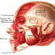 how-to-control-wrinkles