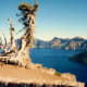 crater-lake-national-park-in-oregon