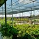 brookwood-community-special-place-for-people-with-disabilities