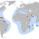 The red circles show major nesting sites and yellow circles show minor nesting sites of Hawksbill turtles
