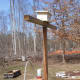 Honey bee swarm trap mounted to pole about eight feet off the ground