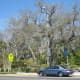 pictures-and-memories-fort-walton-beach-florida-dazzling-white-sand
