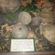 Native American pottery in Indian Temple Mound Museum