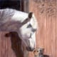 This is my hay!