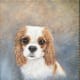 best-animalart-ever