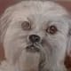 best-animalart-ever