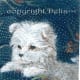 best-animalart-ever