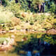 Strolling Pond Garden