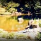 Strolling Pond Garden
