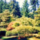 finding-serenity-in-the-japanese-garden-of-portland-oregon
